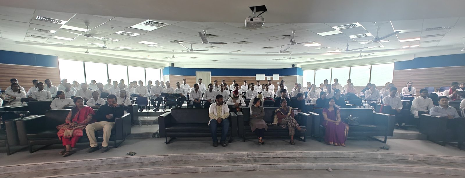 Constitution day celebration