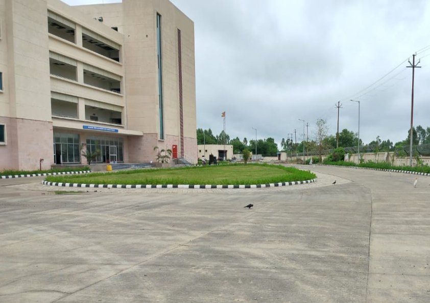 Site